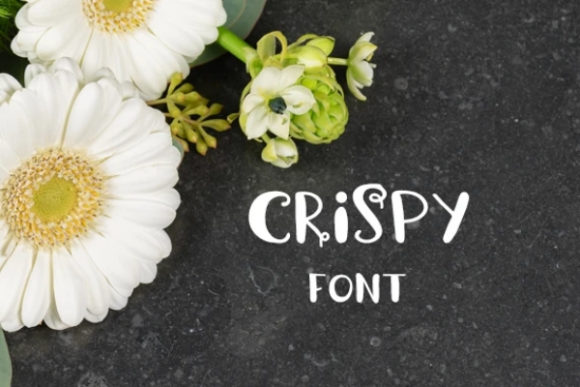 Crispy Typeface: A Playful Display Font for Modern Brands