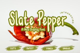 Slate Pepper: The Handwritten Font for Clear Campaigns