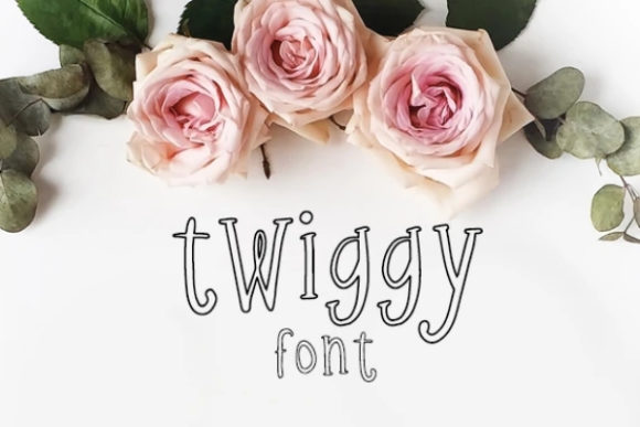 Twiggy: A Display Font for Memorable Brands